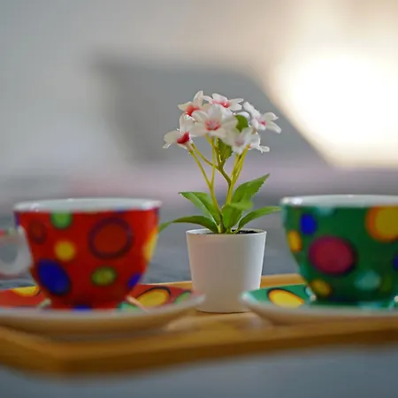 Apartment Sobol 'navis' With Private Jacuzzi *